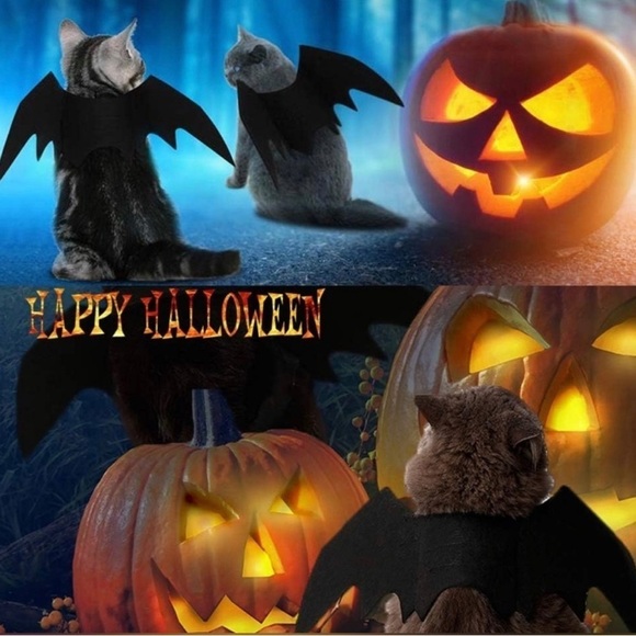 Pet Cat Bat Wings for Halloween Party Decoration - Picture 3 of 17